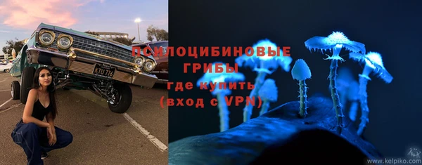 гидра Алзамай