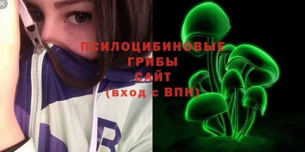 эйфоретик Алексин