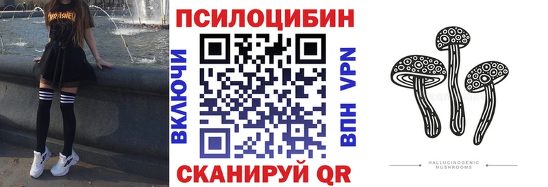 Галлюциногенные грибы Psilocybine cubensis  Апшеронск 