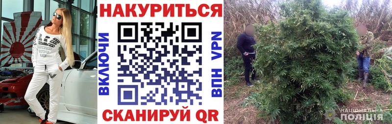 где найти наркотики  Апшеронск  Бошки марихуана White Widow 